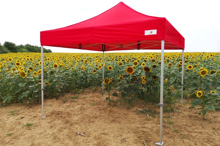 Promocja sprzedaży namiotu 3m*3m